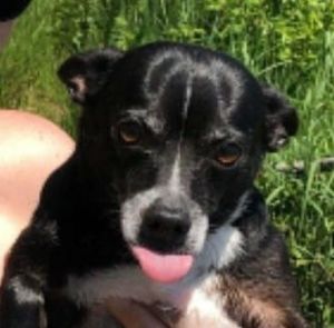 Meet your Posher, Mike